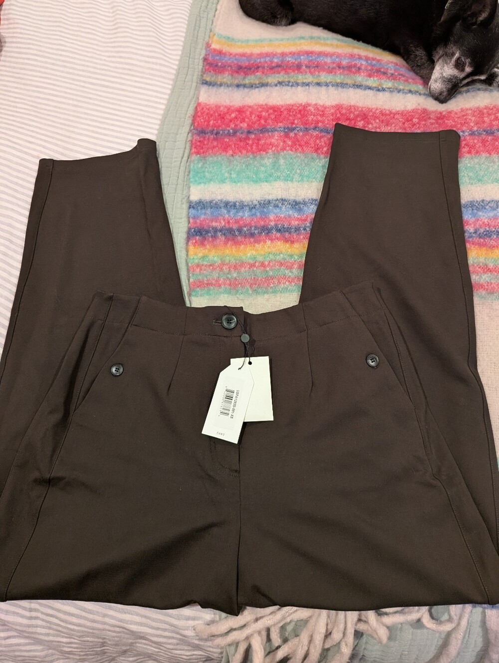Universal Standard Tailored High-Rise Olive Green Pants - 10